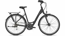 Raleigh Chester 21 Wave