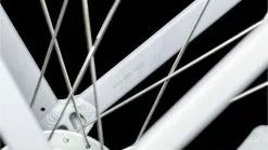 Cube Ella Cruise WA 18 Cube Ella Cruise WA -Fahrrad Verkaufsladen az Cube Ella Cruise WA 5 metallicstonengrey 226684